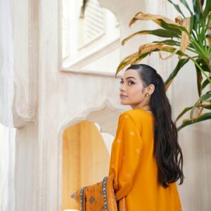 A woman in Lahore wears an elegant traditional eastern dress, captured indoors with vivid colors.