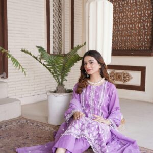 Stunning portrait of a woman in traditional Pakistani attire, indoors in Lahore.